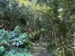 -同里国家湿地公园