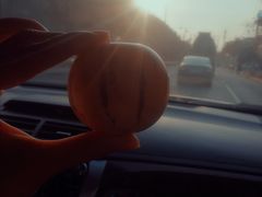 -江杨农产品批发市场