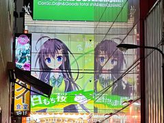 -秋叶原电器街