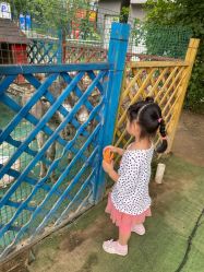 -萌宠亲子动物乐园(槐房万达店)