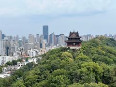 -黄鹤楼公园(黄鹤楼)