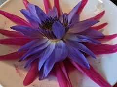 -小龙翻大江文化火锅(太古里店)
