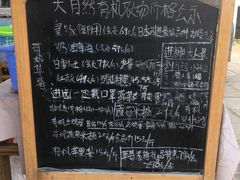 -大自然农场蔬菜草莓采摘园