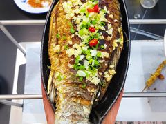 -老黑板筋(顺义总店)