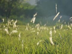 -大桶水·全国旗舰店(体育路店)