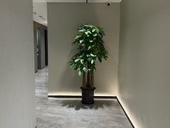 -W·24H茶楼·棋牌·掼蛋(望京店)