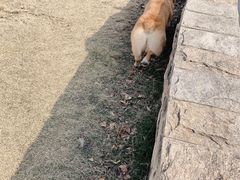 -星巴克(钦江路店)