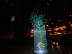 -STARRY CAFE & LOUNGE BAR(高新店)