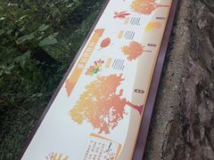 -香山公园