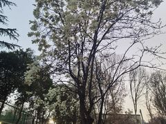 -西安市纺织公园