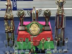 -西安支守安职业拳击俱乐部