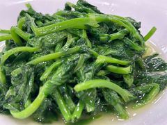 白酒有机豆苗-瑞福园联谊餐室(茂名南路店)