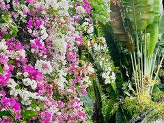 -深圳国际园林花卉博览园