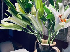 -都氏家DUSJOY(翡翠城店)
