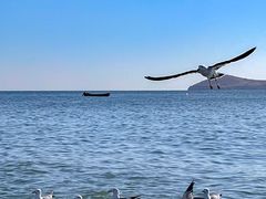 -银沙滩浴场