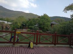 -深业半汤御泉庄温泉