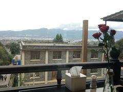 -蘑统田下·野生菌火锅