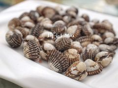 白灼血蛤-春园海鲜广场D区6号(钟姐海鲜加工店)
