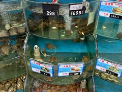 -叶存利海鲜大馅饺子(海宁路总店)