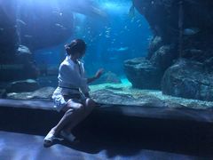 -暹罗海洋世界
