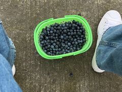 -金谷域澳洲庄园