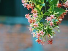 -维乐口腔医院(星海湾分院)