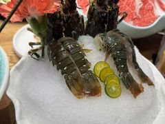 -尚海豆捞(乐虹坊店)