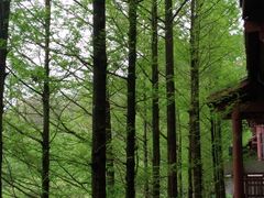 -重庆彩云湖湿地公园