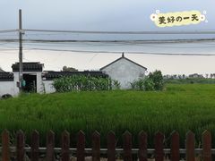 -七的湖·晚芳亭·阳澄湖农家菜·大闸蟹(莲花岛店)