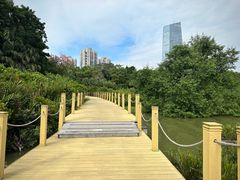 -华侨城湿地公园