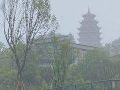 -铁山坪森林公园