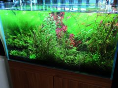 -繁花足道(梅江店)