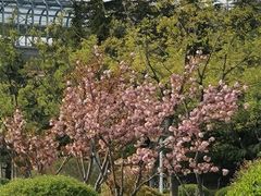 -济南国际园博园