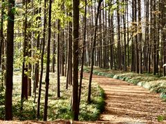 -上海市保健医疗中心