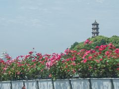 -江心屿景区