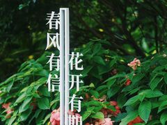 -云溪植物园