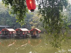 -侨美·唐荔园·40年地道粤菜