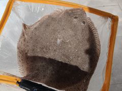 -神农美特好生鲜超市(康宁街店)