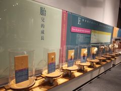 -香港科学馆