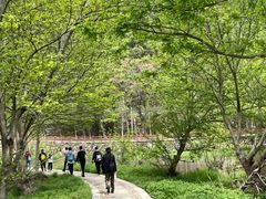 -北海金海湾红树林生态旅游区