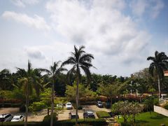 -三亚亚龙湾金棕榈度假酒店