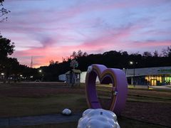 -野狸岛