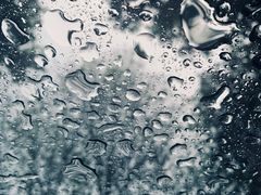 -陈三娃泡姜鸡(太白北路店)