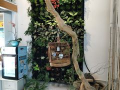 -苗祖咖啡(洛克时代中心店)