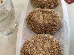 -蝎王府羊蝎子(朝阳北路店)