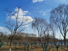 -大兴滨河森林公园