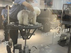 -宠物家(角门东店)