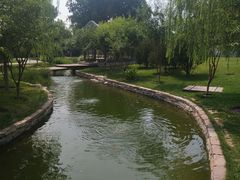 -春风习习