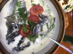 -全乐鱼馆·淳牌有机鱼直营店