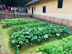 -韶山毛泽东同志故居